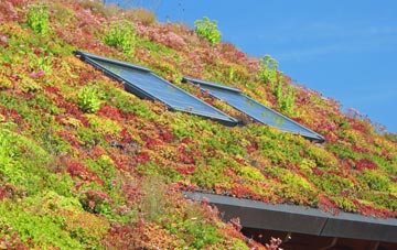 Grittleton living roof systems
